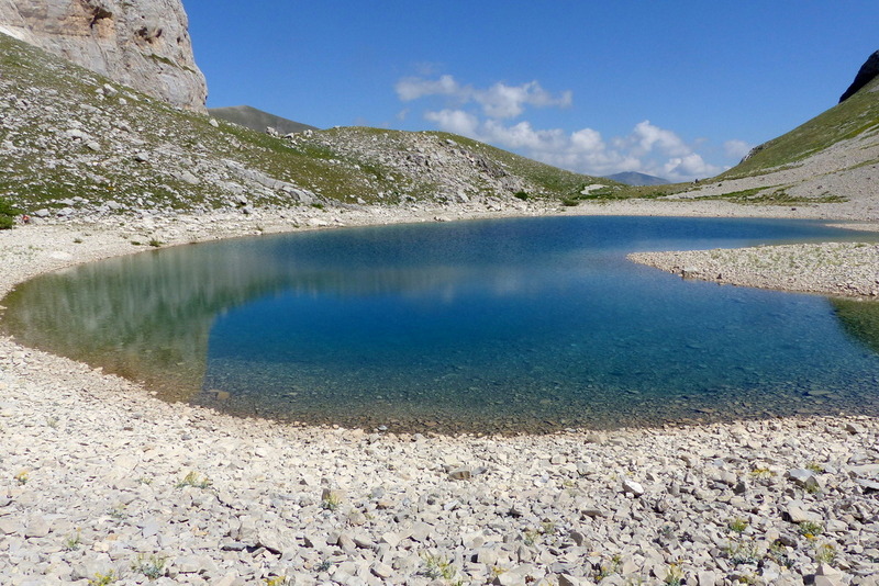 Orchidee e fiori del Monte Vettore e del Lago di Pilato � 26 giugno 2025.